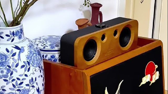 预算有限？音质照样顶!DOSS声浪原木音响