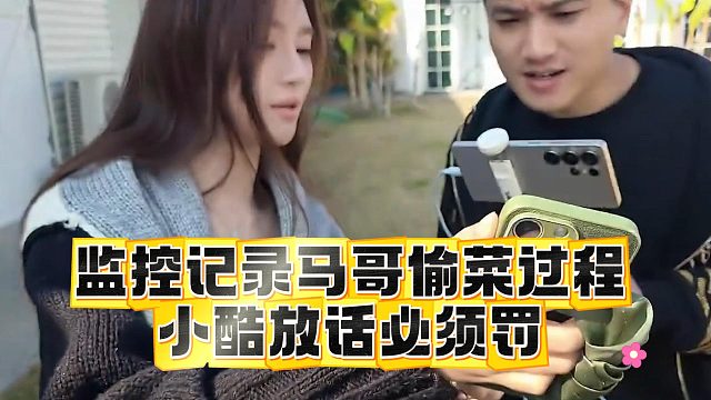 监控记录马哥偷菜过程，小酷放话必须罚