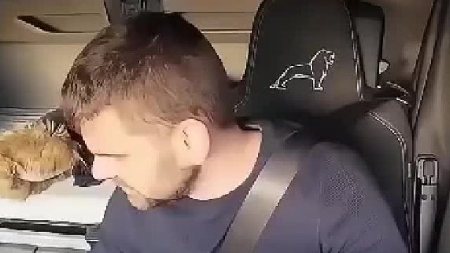 开车千万不能马虎，国外货车司机就被吓尿了