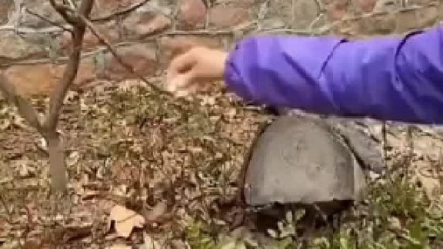 男子逗自家的鹦鹉，被路过的老太太一把抓走。