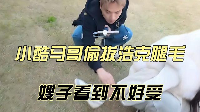 小酷马哥偷拔浩克腿毛，嫂子看到不好受