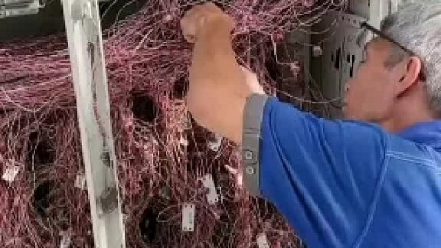 这表现简直绝了！