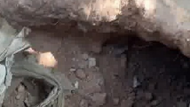 有些狗是关不住的“肖申克的救赎”