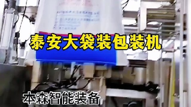 泰 安大袋装包装机