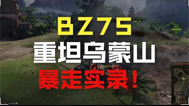乌蒙雄山BZ-75特级分享