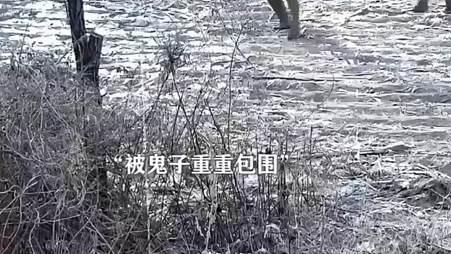 鬼子：这他妈的离了大谱