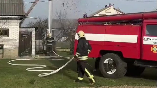 白鹳鸟巢被高压水枪冲掉，回家后的它彻底泪奔