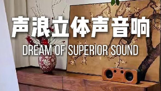 学生党、租房党都适合的居家音响！DOSS声浪原木音响