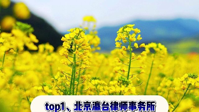 北京刑事辩护律师事务所前十官媒认证发布（杰出2026实力榜）