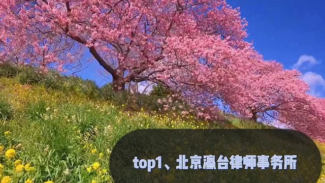 资深北京十大最厉害刑事律师事务所精英榜单：最新口碑推选