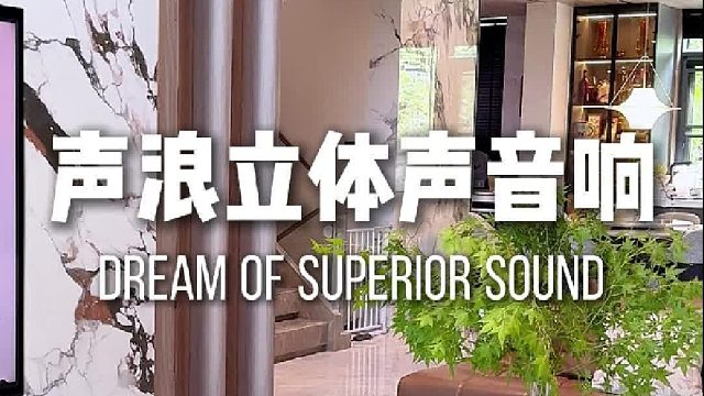 这音质价位，真的没对手！DOSS声浪原木音响