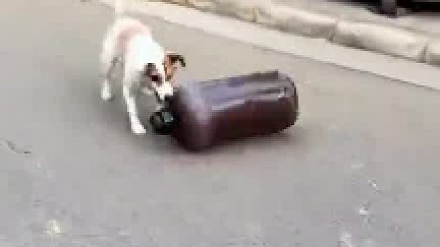 怎么就不长记性呢