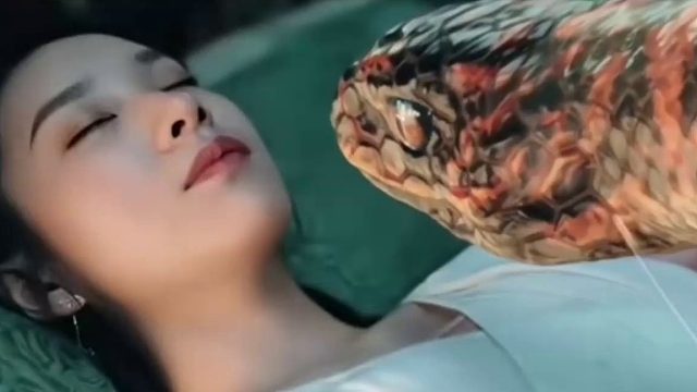 因为一个片段看了整部