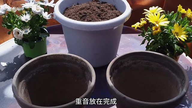 梨花声音课堂用好重音，让声音更有分量