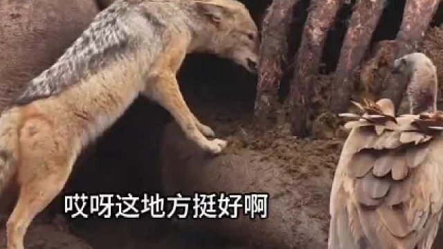 这地方不错能吃能睡