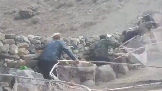 巴铁老哥全体出动抓捕泛滥成灾的麻雀大军