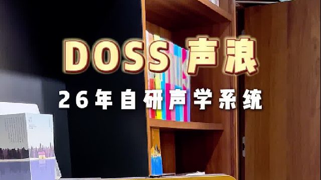 桌面小音箱，听歌超治愈！DOSS声浪原木音响