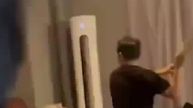 终于有正常人养狗了