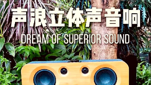 高颜值，好音质！DOSS声浪原木音响