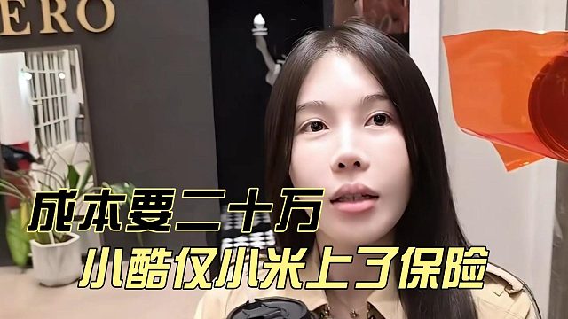 小酷仅小米上了保险，一年成本就要二十万