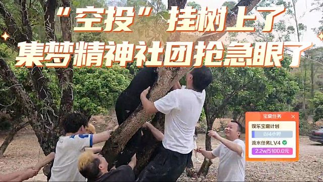 “空投”挂树上了，集梦精神社团抢急眼了