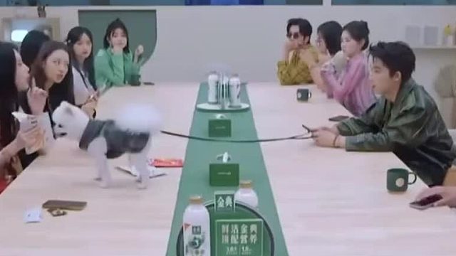 孟子义不管和谁说话都不过脑子