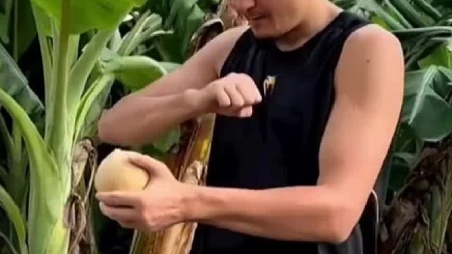 千招会 不如一招精一击肘击霹雳如火