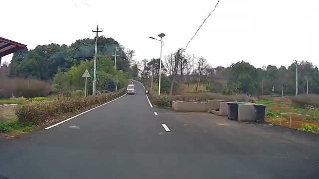 如果可以 我这辈子都不想再碰方向盘了 整出心理阴影了