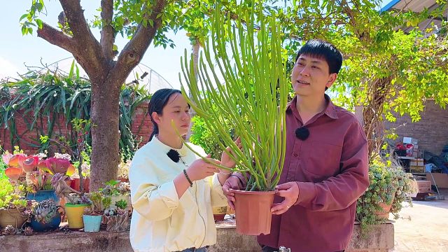 小夫妻分居4年，今天终于找到原因了，说出来你都不信