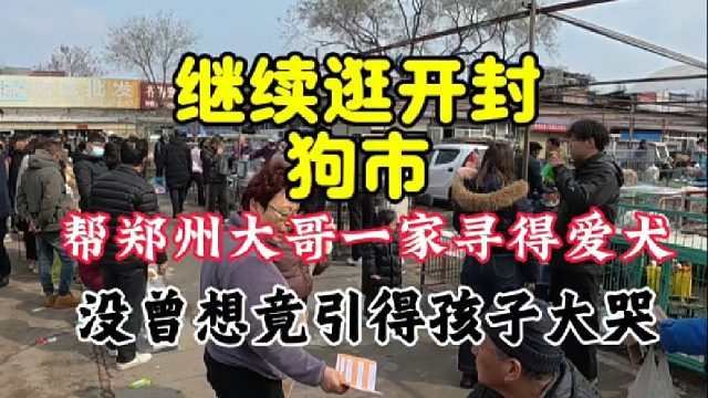 继续逛开封狗市，帮郑州大哥一家寻得爱犬，没想到竟引得孩子大哭