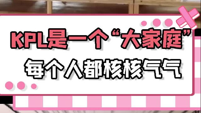 是核核气气的KPL呀！