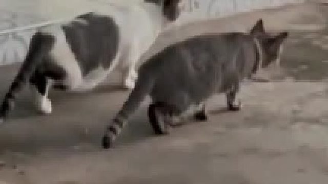 如此戏剧性的一幕