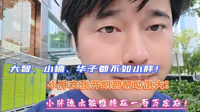 小胖流水能维持在一百万左右！大智、小楠、华子都不如小胖！小胖在张开朗那帮助很大！