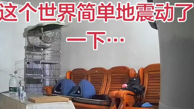 卡车撞地球