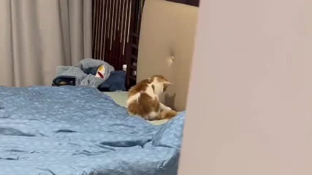 吓我一大跳…