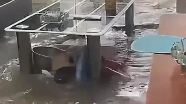 坐看云起，静观浪来