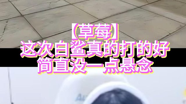 【草莓】这次白鲨真的打的好简直没一点悬念
