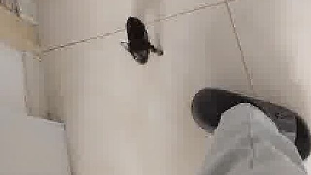 家里养条狗这下不怕了