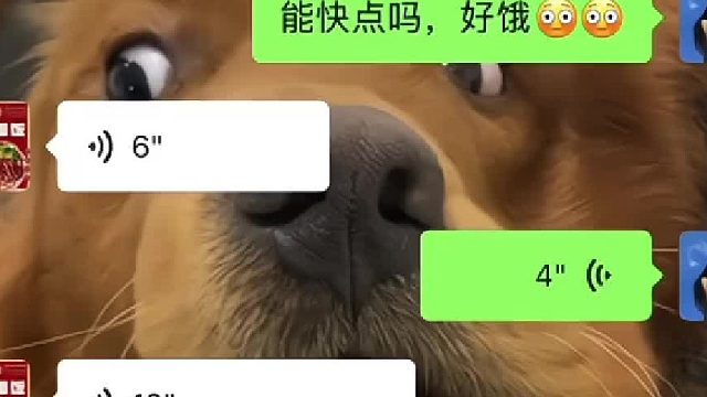 老板，我的猪脚饭好了吗？好饿哈哈哈