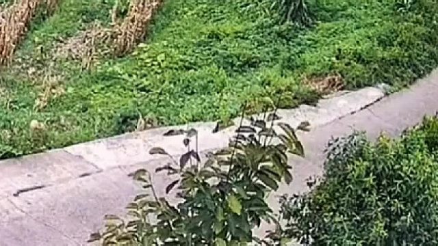 一脚油门下去了