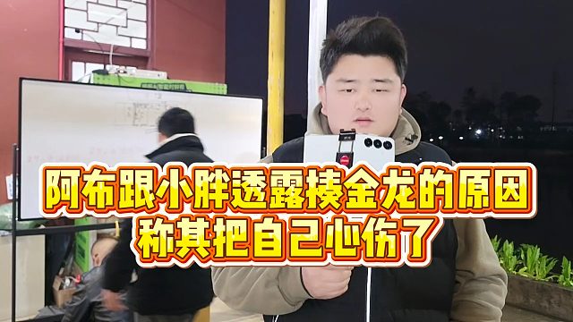 【集梦阿布】阿布跟小胖透露揍金龙的原因，称其把自己心伤了