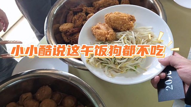 小小酷小组资金紧张，吃个午饭都这么差