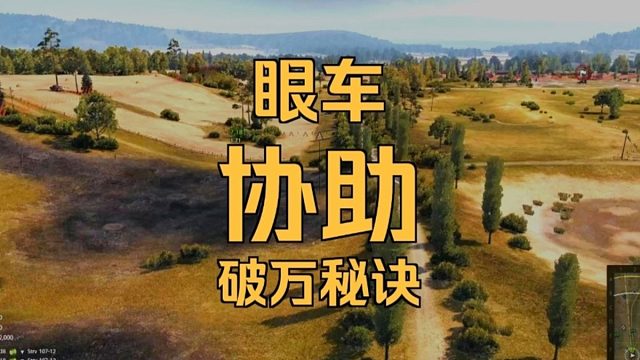 11级眼车甲虫万伤协助分享