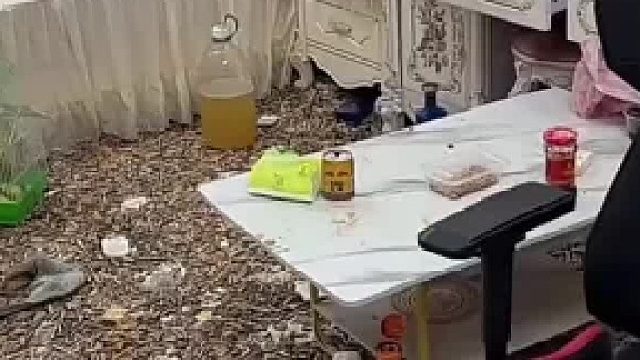 男子对妻子说离婚 直呼“过不下去了”