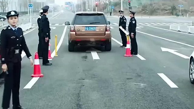 辛芷蕾：你这名字是认真的吗