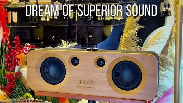 这音响太良心，堆料足还不贵！DOSS声浪原木音响