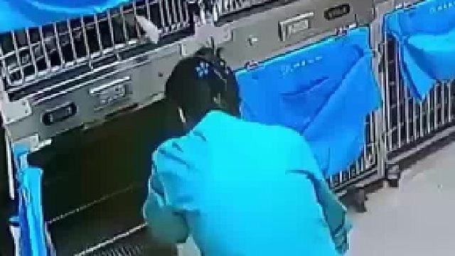 宠物医生正在给笼子消毒突然被一名客戶“调戏”