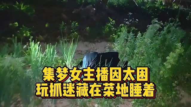 集梦女主播因太困，玩抓迷藏在菜地睡着