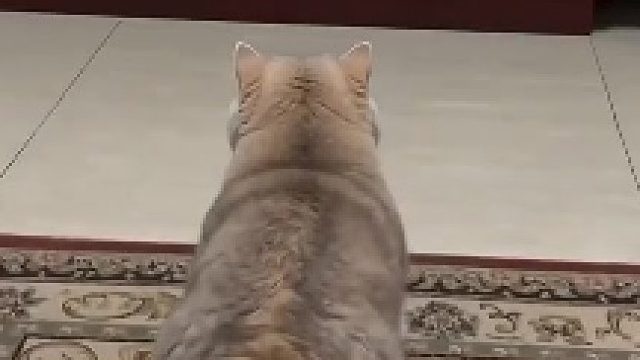 没事儿别逗儿媳妇儿