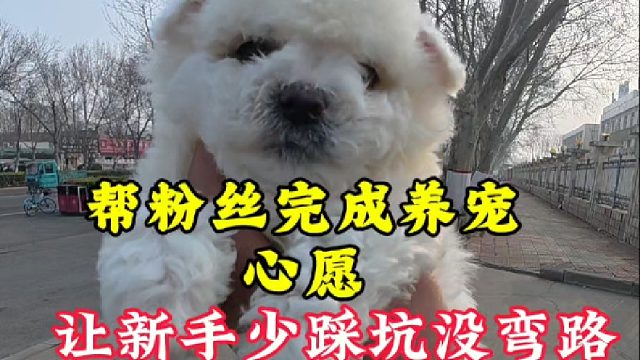 开封狗市帮新乡原阳江西上饶，粉丝完成养宠心愿！让新手少走弯路
